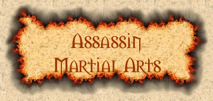 Assassin Martial Arts Skills
